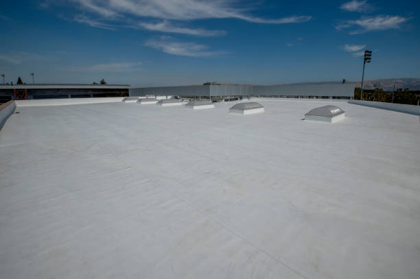 Best Green or Eco-Friendly Roofing Solutions  in Laguna Hills, CA