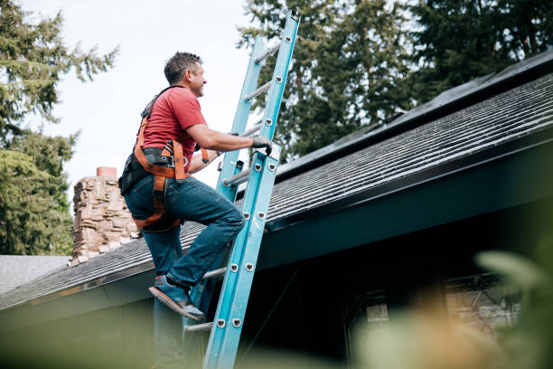 Best Rubber Roofing (EPDM, TPO)  in Laguna Hills, CA